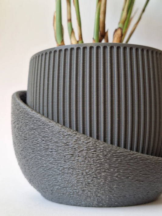 Zamy Planters