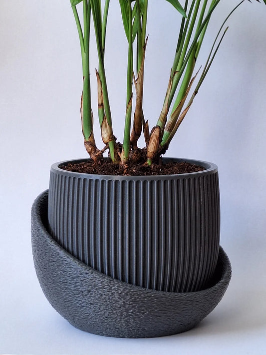 Zamy Planters