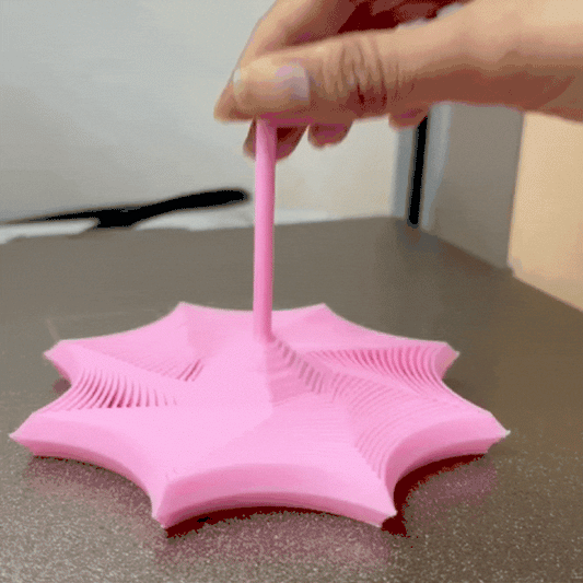 Spider Web 3D Printed ASMR Flexi Fidget Toy