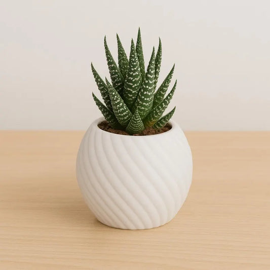 Modern 3D Printed Planters